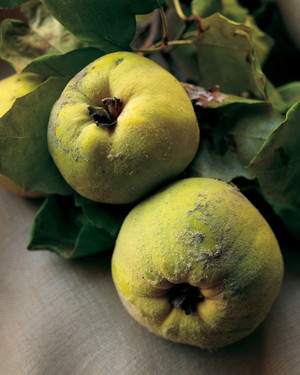 Easy quince fruit recipes Easy quince fruit recipes